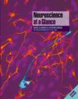 Image for Neuroscience at a Glance