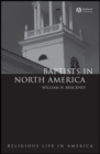 Image for Baptists in North America  : an historical perspective