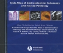 Image for Slide Atlas of Gastrointestinal Endoscopy and Related Pathology