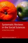 Image for Systematic Reviews in the Social Sciences