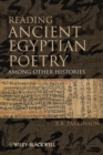 Image for Among other histories  : reading ancient Egyptian poetry from 1850 BC to the present
