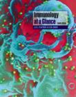 Image for Immunology at a Glance