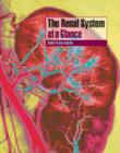 Image for The renal system at a glance