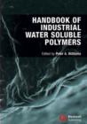 Image for Handbook of industrial water soluble polymers