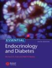 Image for Essential endocrinology and diabetes