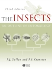 Image for The Insects: An Outline of Entomology