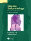 Image for Essential endodontology