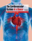 Image for The cardiovascular system at a glance