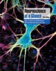 Image for Neuroscience at a glance