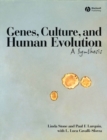 Image for Genes, Culture, and Human Evolution