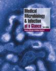 Image for Medical Microbiology and Infection at a Glance