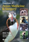 Image for Essentials of Avian Medicine and Surgery