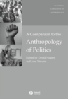 Image for A companion to the anthropology of politics