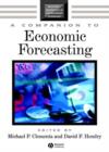 Image for Companion to Economic Forecasting