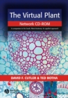 Image for The virtual plant
