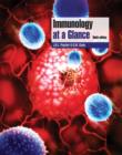 Image for Immunology at a Glance