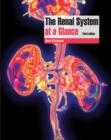 Image for The renal system at a glance.