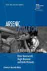 Image for Arsenic pollution  : a global synthesis
