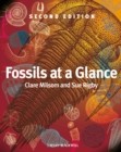 Image for Fossils at a glance.