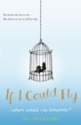 Image for If I Could Fly