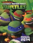 Image for Teenage Mutant Ninja Turtles Annual
