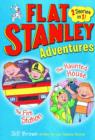Image for Flat Stanley adventures