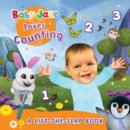 Image for Baby Jake loves counting  : a lift-the-flap book