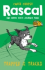 Image for Rascal: Trapped on the Tracks