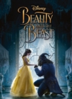 Image for Disney Beauty and the Beast (movie storybook)