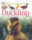 Image for Duckling