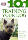 Image for Training Your Dog