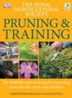 Image for RHS Pruning and Training