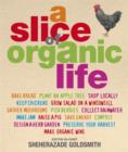 Image for A slice of organic life