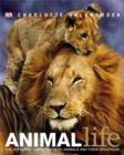 Image for Animal life