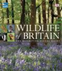 Image for RSPB Wildlife of Britain