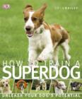 Image for How to train a superdog