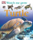 Image for Turtle.