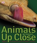 Image for Animals Up Close