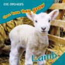 Image for Lamb.