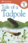 Image for Tale of a tadpole