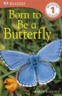 Image for Born to be a Butterfly