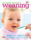 Image for Weaning: what to feed, when to feed, and how to feed your baby