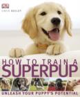 Image for How to train a superpup