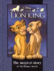 Image for Disney Magical Story : &quot;Lion King&quot;