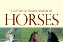 Image for Illustrated Encyclopedia of Horses