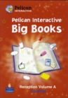 Image for Pelican Interactive Big Book Reception : v. A