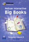 Image for Pelican Interactive Big Book Reception