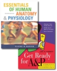 Image for Essentials of Human Anatomy and Physiology