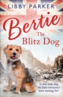 Image for Bertie the Blitz dog