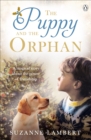 Image for The Puppy and the Orphan
